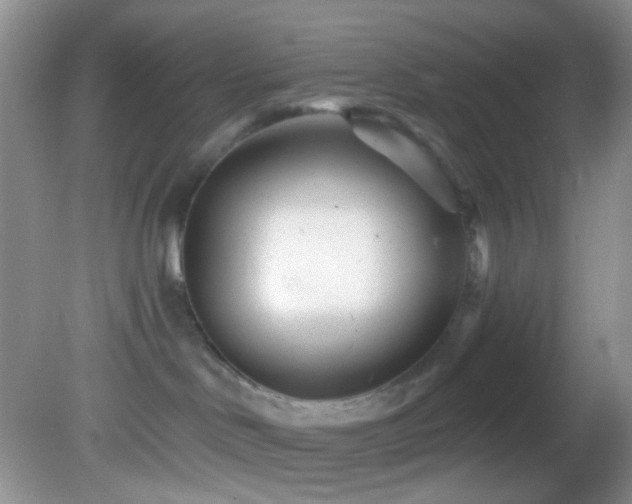 X0000082730046200701261256