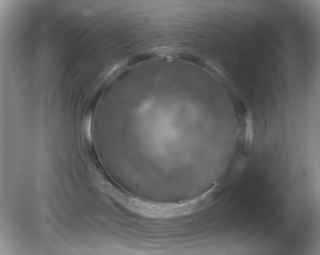X0000082730047200701261256
