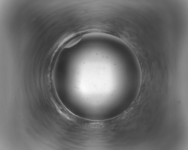 X0000082730050200701261255