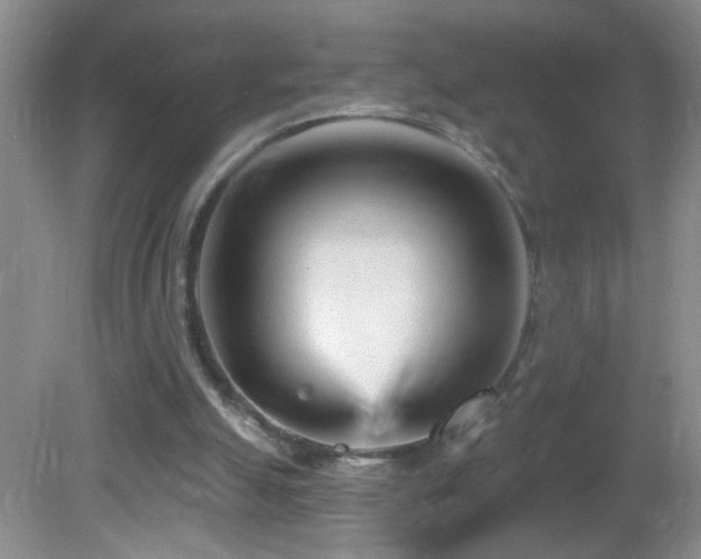 X0000082730055200701261255