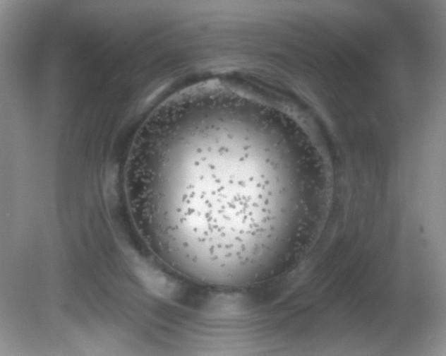 X0000082730066200701261256