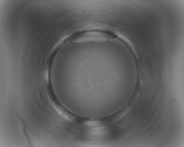 X0000082730067200701261256