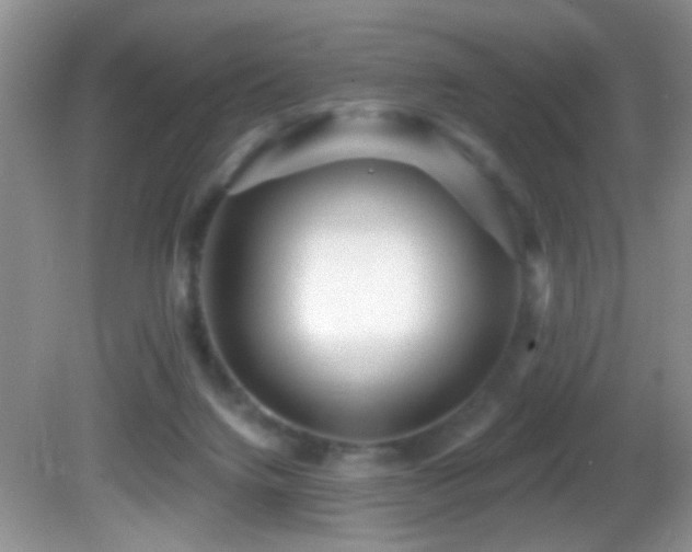 X0000082730072200701261256