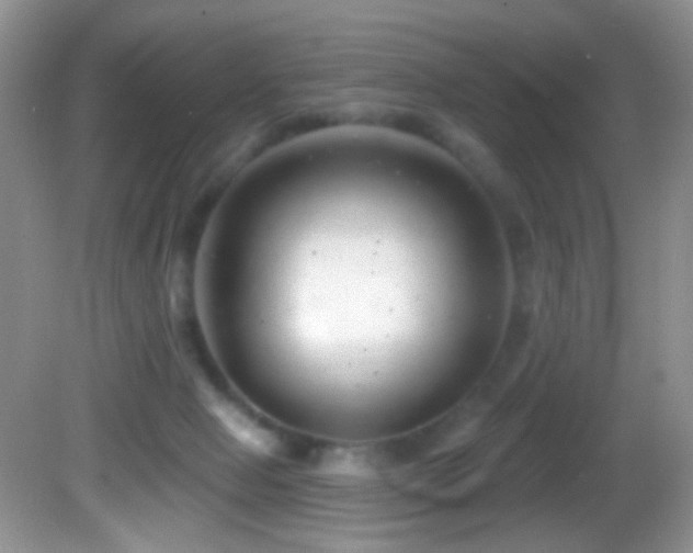 X0000082730077200701261256