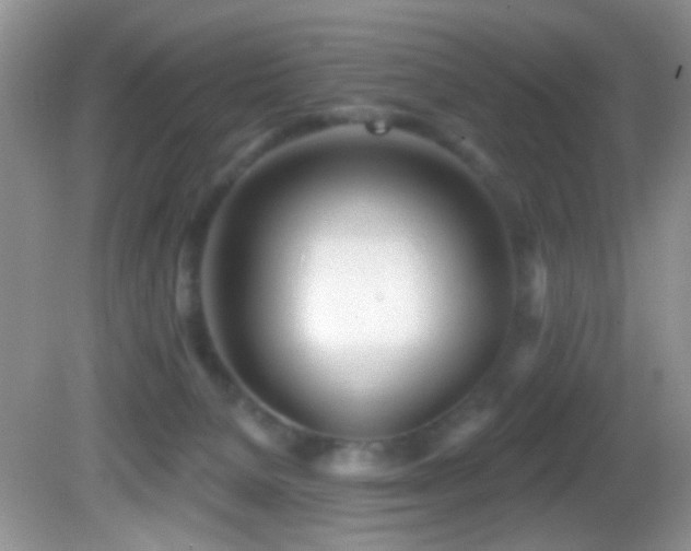 X0000082730080200701261256