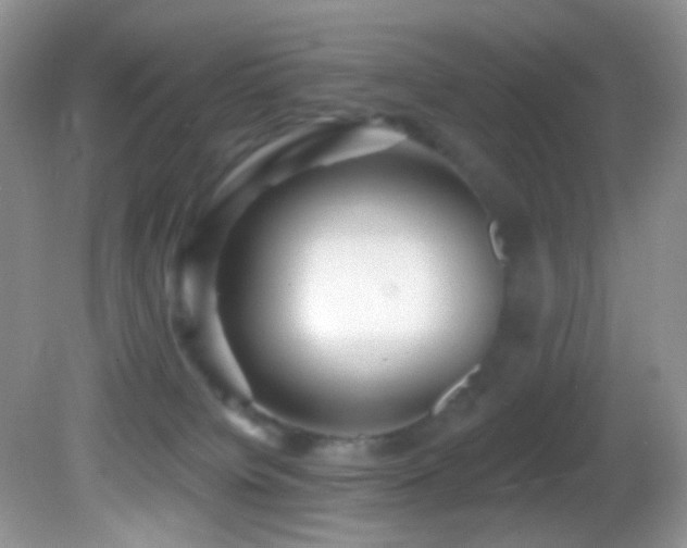 X0000082730084200701261256