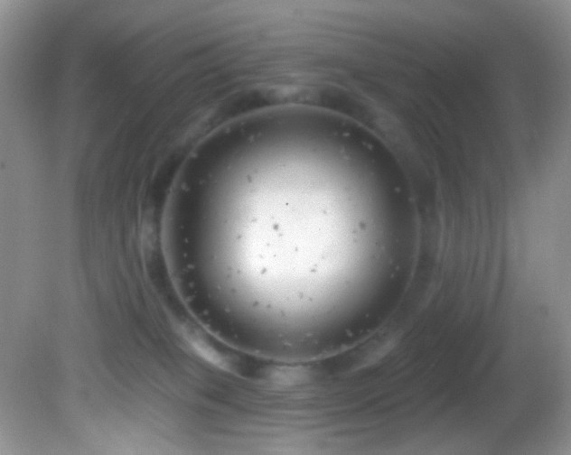 X0000082730085200701261256