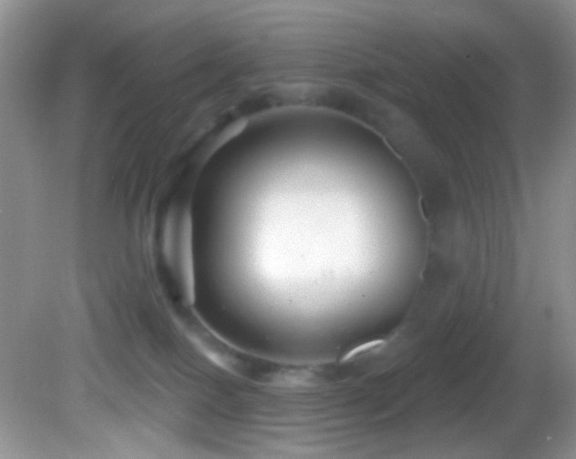X0000082730086200701261256