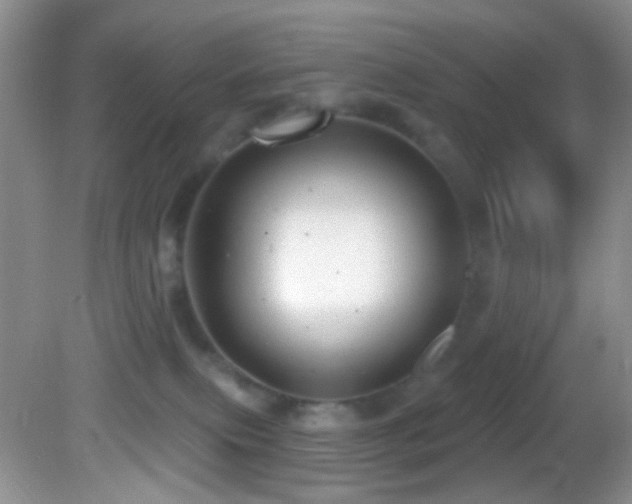 X0000082730087200701261256