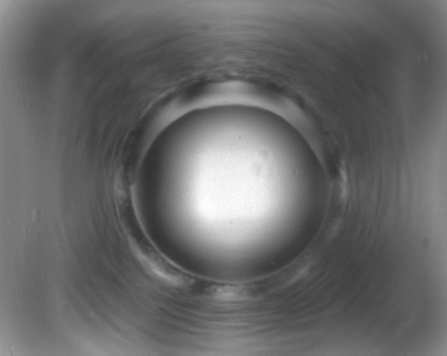 X0000082730088200701261256