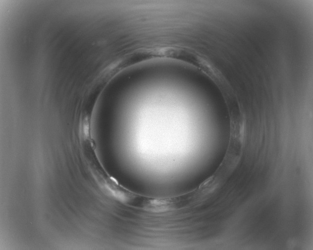 X0000082730095200701261256