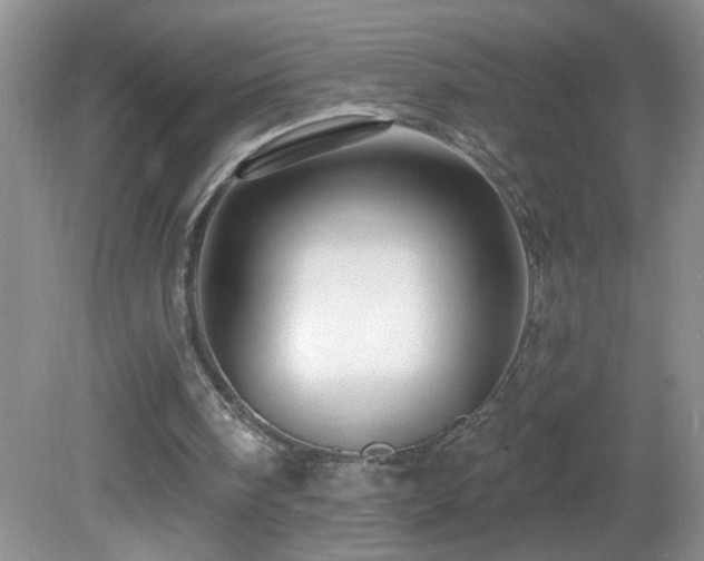 X0000082730098200701261255
