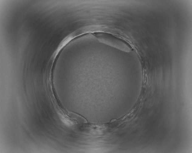 X0000082730099200701261255