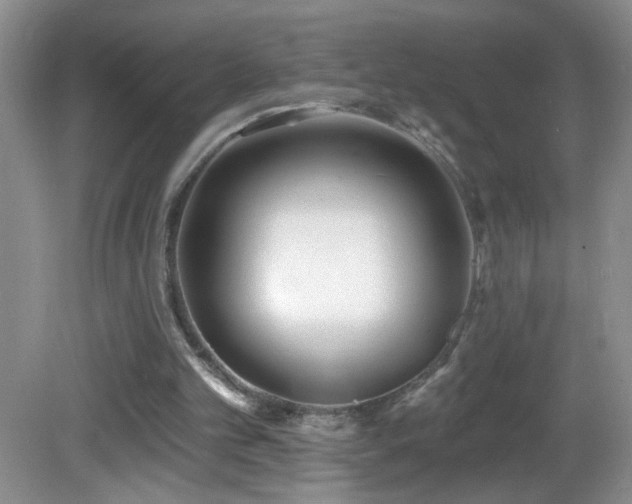 X0000082730101200701261255