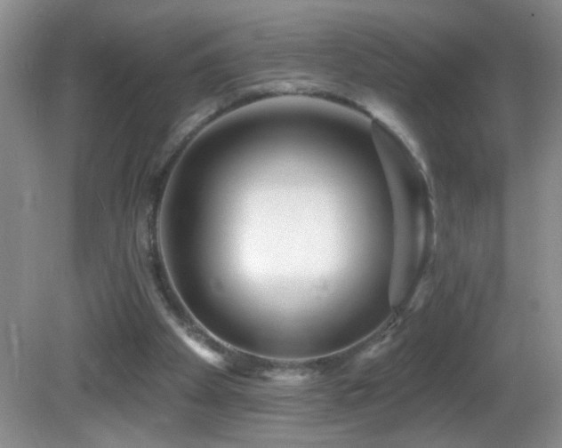 X0000082730105200701261255