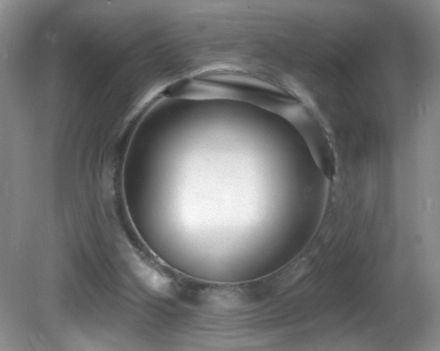 X0000082730106200701261255