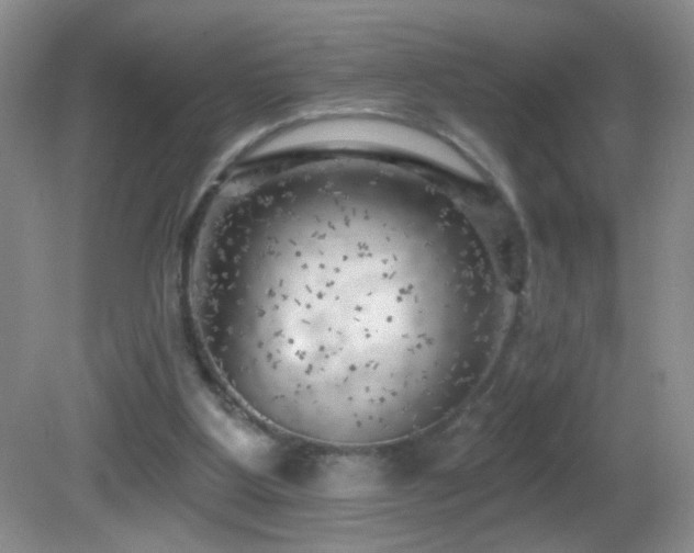X0000082730107200701261255