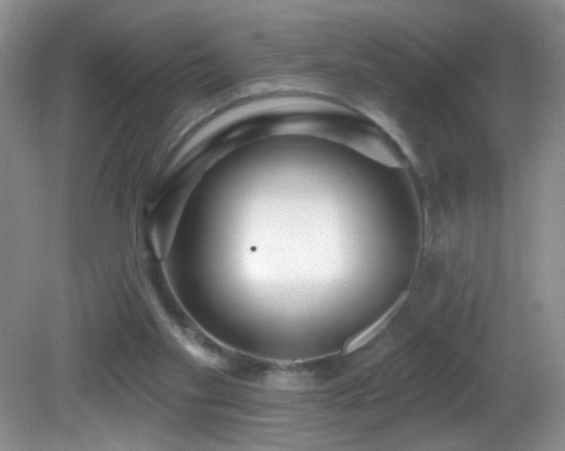 X0000082730109200701261255