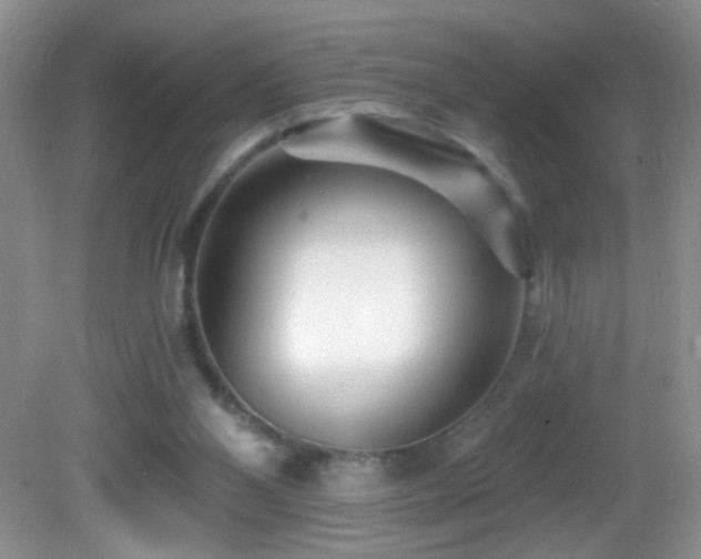 X0000082730110200701261255