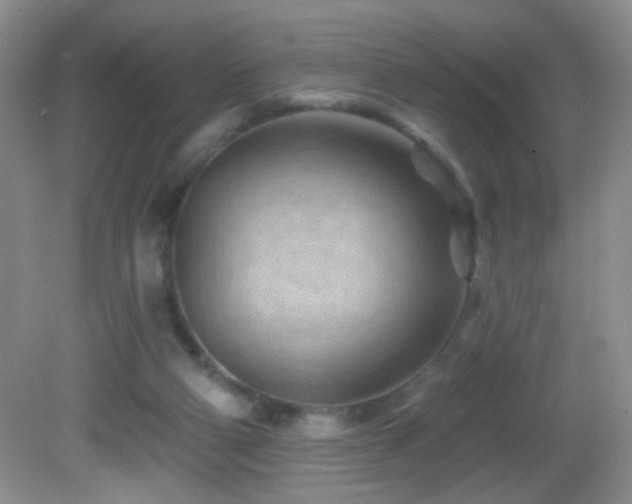 X0000082730114200701261255