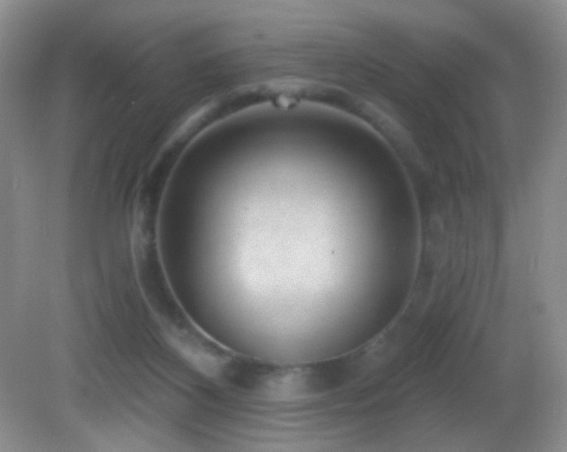 X0000082730116200701261255