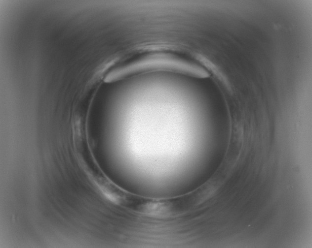 X0000082730117200701261255