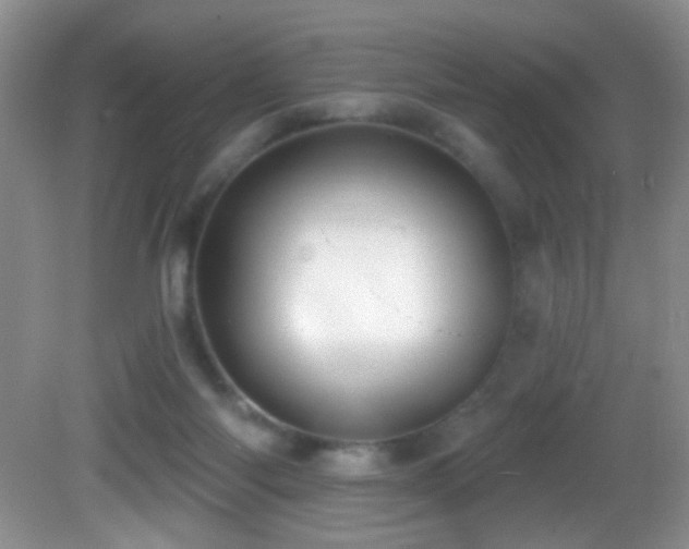 X0000082730118200701261255