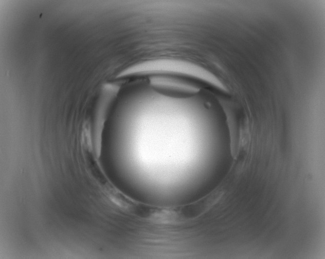 X0000082730125200701261255