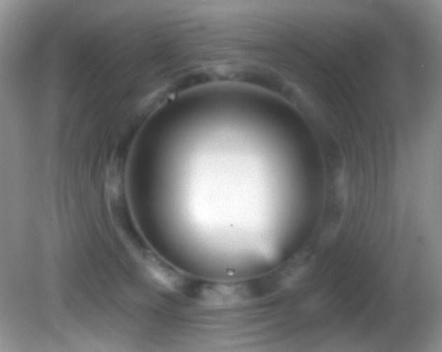 X0000082730129200701261255