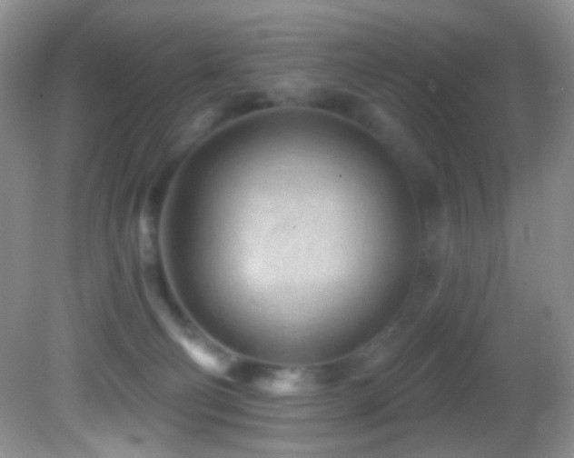 X0000082730130200701261255