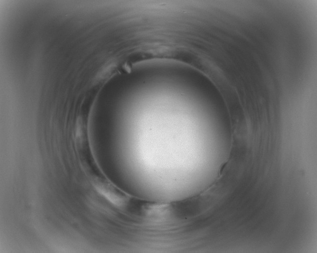 X0000082730132200701261255