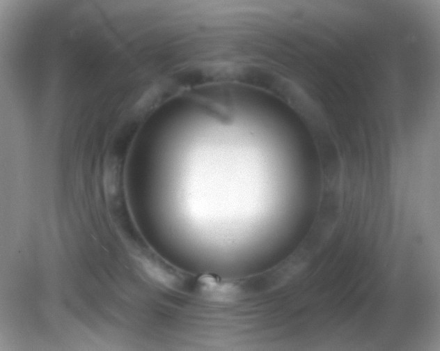 X0000082730133200701261255