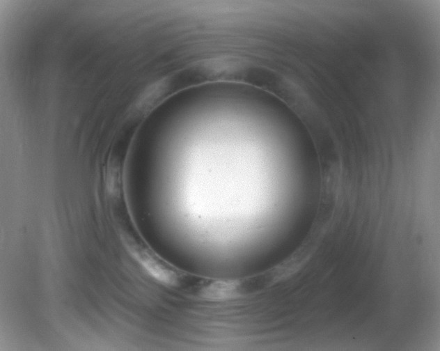 X0000082730138200701261255