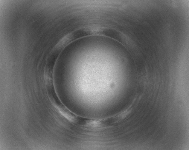 X0000082730140200701261255