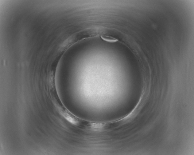 X0000082730144200701261255