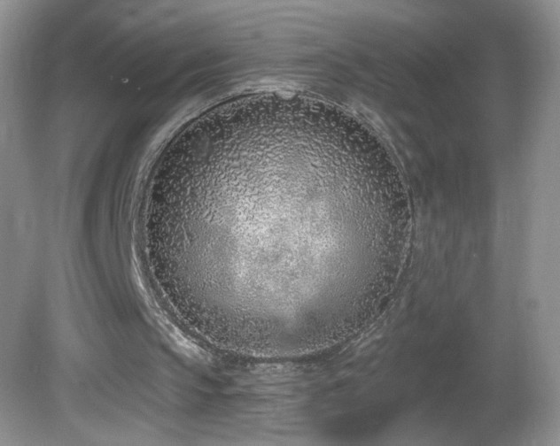 X0000082730145200701261254