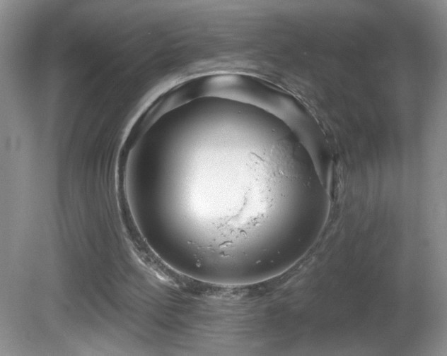 X0000082730148200701261254