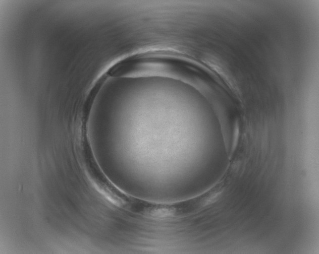 X0000082730156200701261254