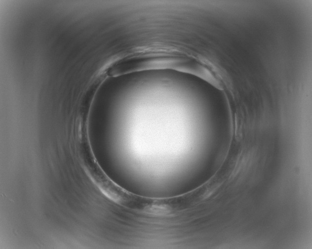 X0000082730157200701261254