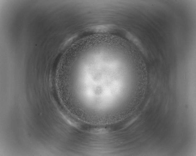 X0000082730161200701261254