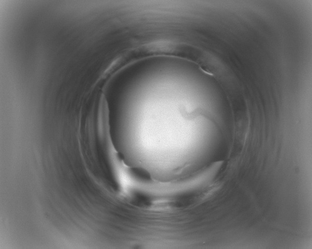 X0000082730168200701261254