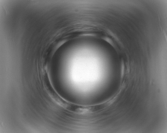 X0000082730170200701261254