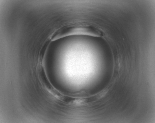 X0000082730172200701261254