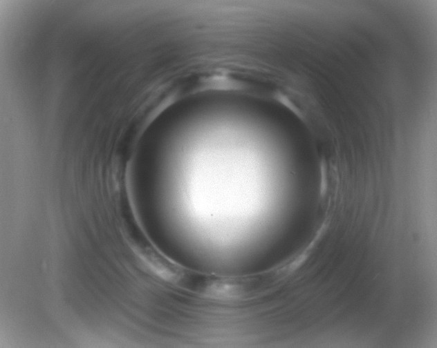 X0000082730174200701261254