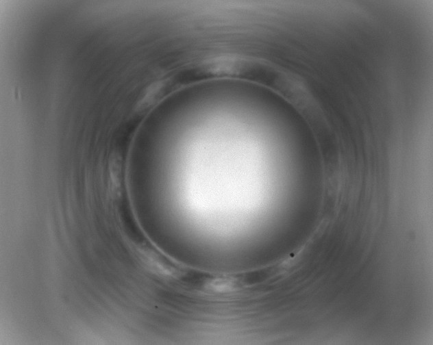 X0000082730175200701261254
