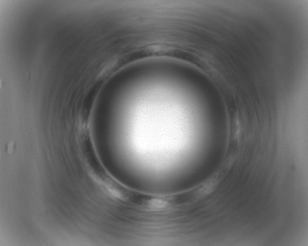 X0000082730176200701261254
