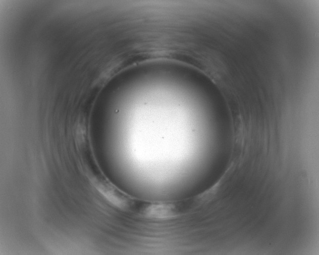 X0000082730179200701261254