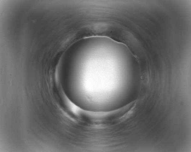 X0000082730184200701261254