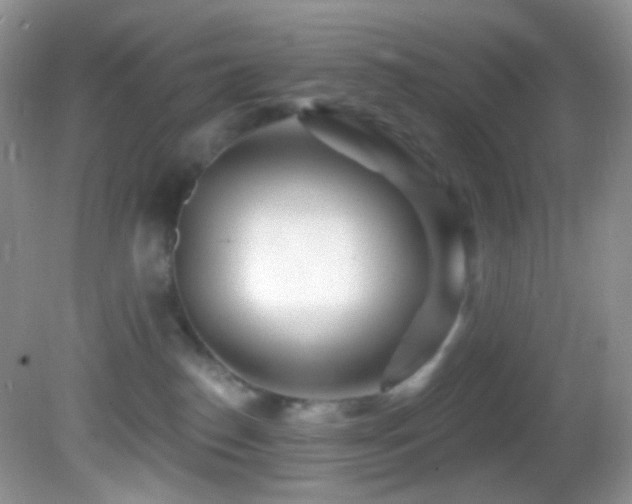 X0000082730186200701261254