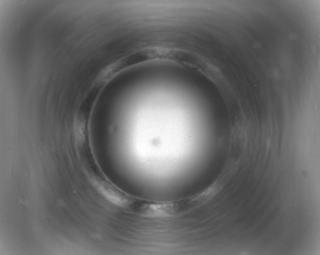 X0000082730188200701261254